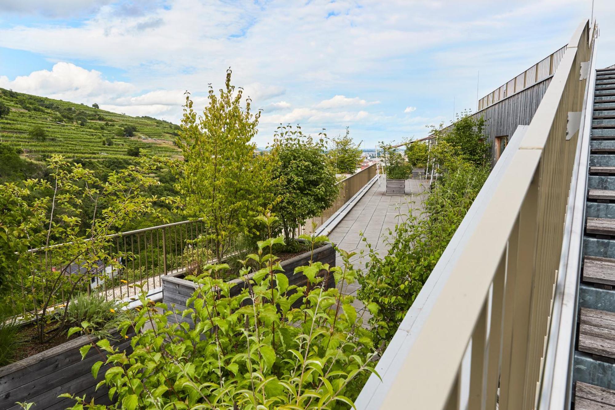 Steigenberger Hotel & Spa Krems Bagian luar foto