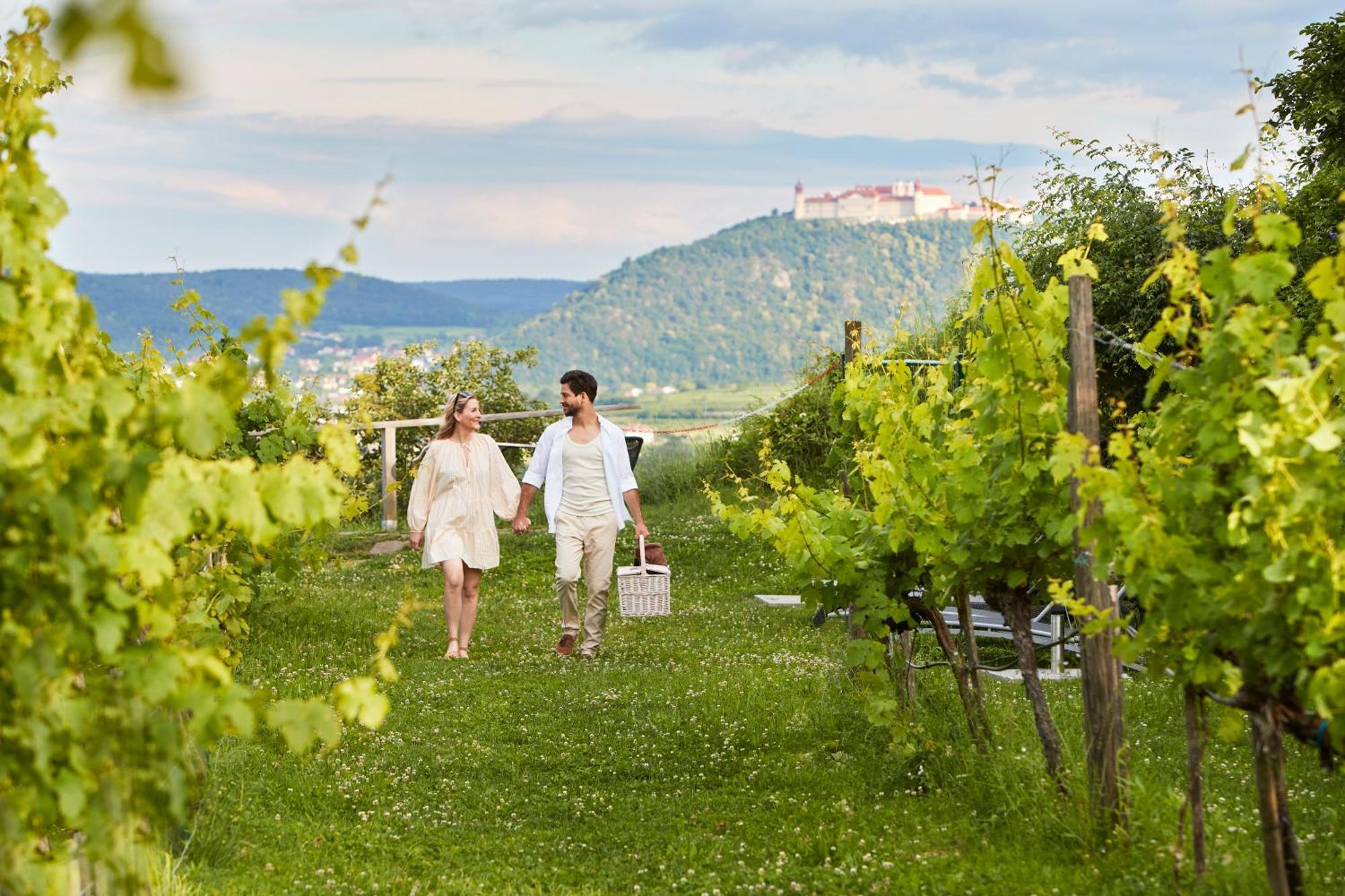 Steigenberger Hotel & Spa Krems Bagian luar foto